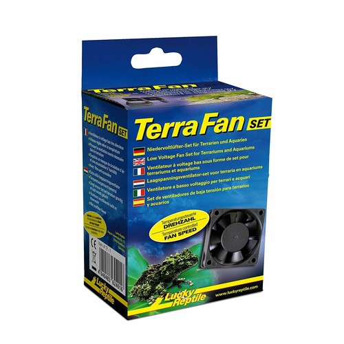 Lucky reptile terra fan - lucky,